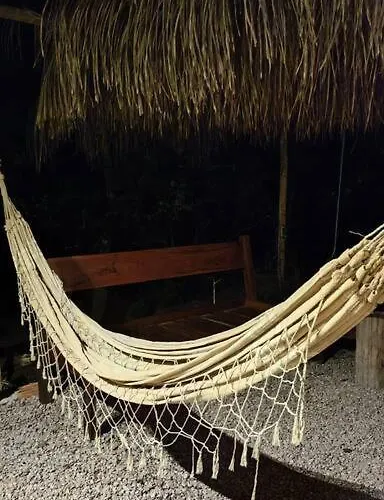 Magia Da Florada
